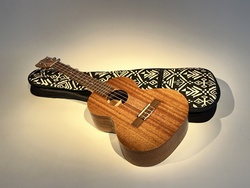 3D Fabrication Project - Ukelele